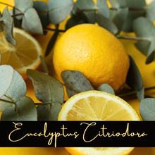 Load image into Gallery viewer, Eucalyptus Citriadora