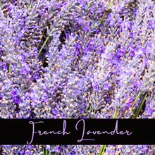 Load image into Gallery viewer, French Lavender